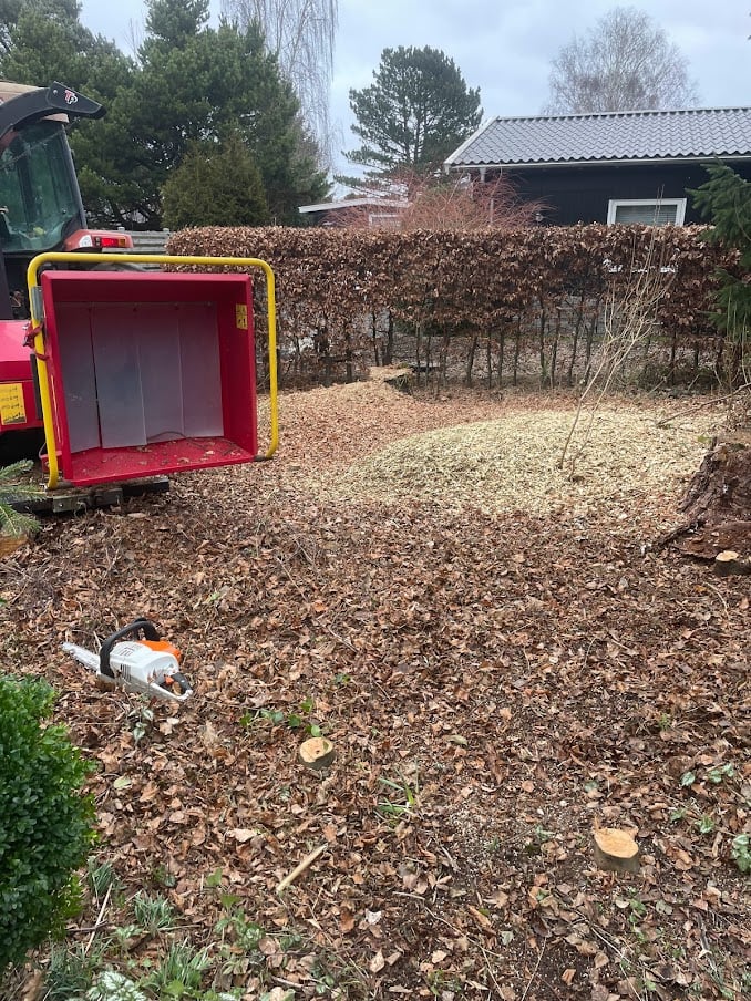 Billede af flishugning og beskæring Billede af flishugning og beskæring